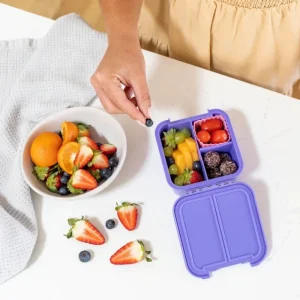 Discount 'Bento Two', Grape Madpakken
