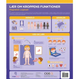 Flash Sale Magnetisk Legesaet - Laer Om Kroppens Funktioner Magneter