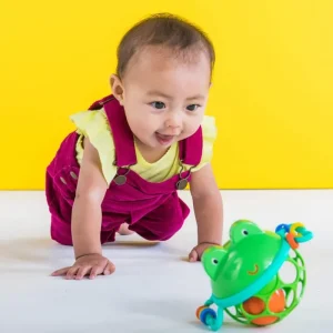 Fashion Frogball Rangler & Bideringe