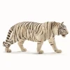 Shop Hvid Tiger Dyr