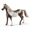 Sale Paint Horse Gelding Dyr
