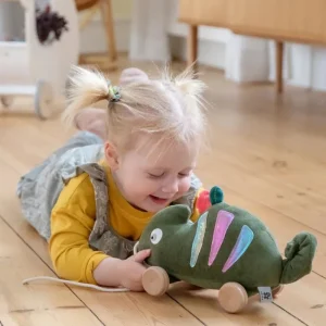 Shop Traekdyr, Kamaeleonen Carley Aktivitetsleg