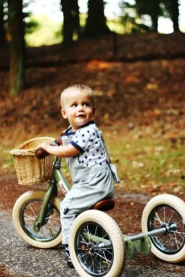 Shop Cykelkurv Udeleg